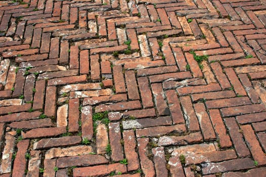 Paving stones