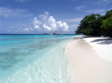 Holiday