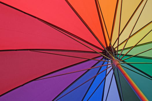 Umbrella