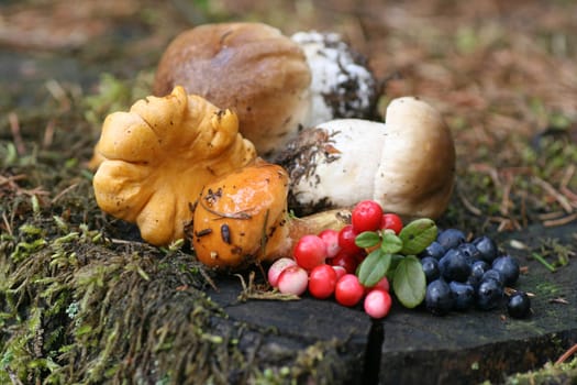 Fruits