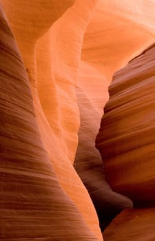 Slot Canyon. Utah. United States