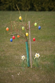 Easter or easter egg