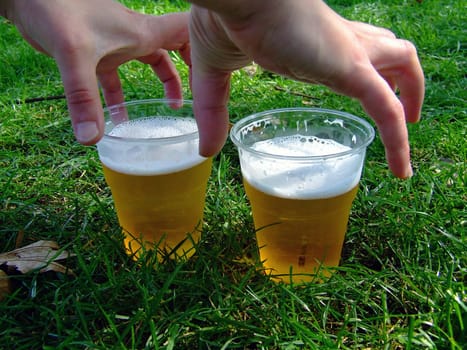 Festival Beer