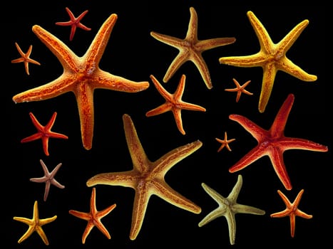 I know that most of you can't see stars anymore... anyway... -)