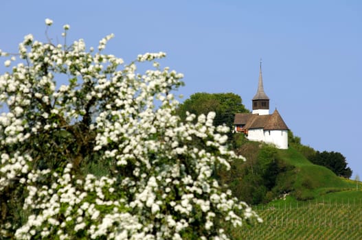 Schwyz,Switzerland