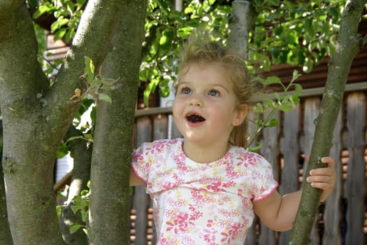 In the tree