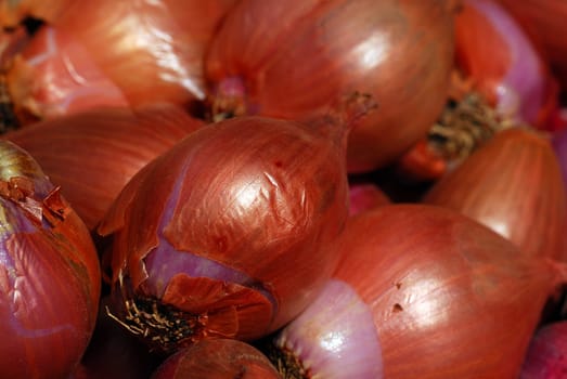 Onions