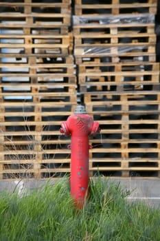 Hydrant