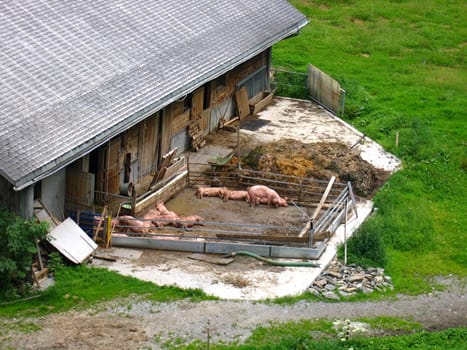 farmstead