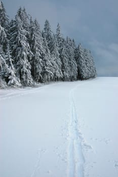 Winter Landscape 30