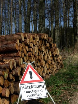 Logging