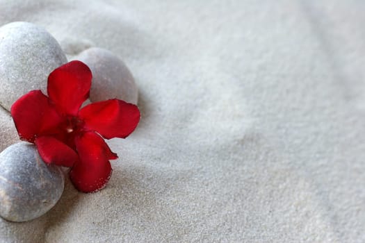 Zen