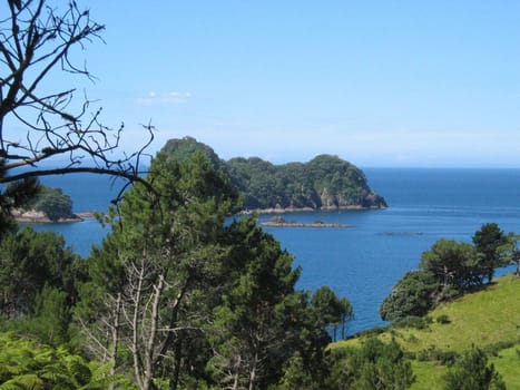 Coromandel Peninsula,New Zealand