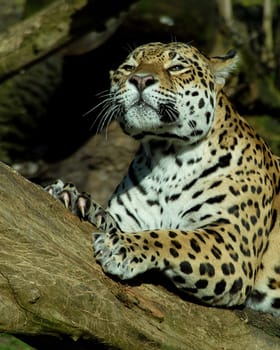 The animals also enjoyed the long-awaited sun today ..... But it was much too warm for me...!:-)
