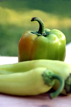 Do any of you know if these small,green mini peppers have a special name? Thanks for info....!