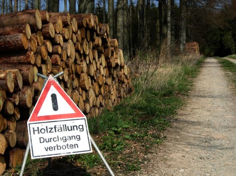 Logging