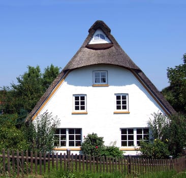 Thatched roof house