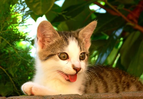 Always quite friendly