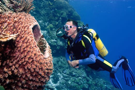 Diver in front of vase sponge