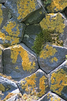 Basalt columns at the Parkstein