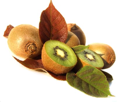 Kiwi