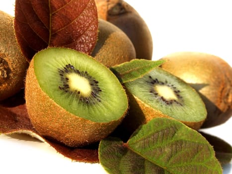 Kiwi