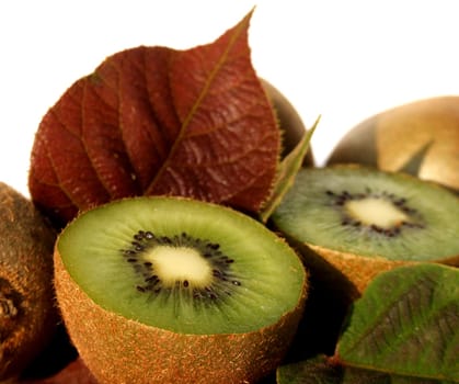 Kiwi