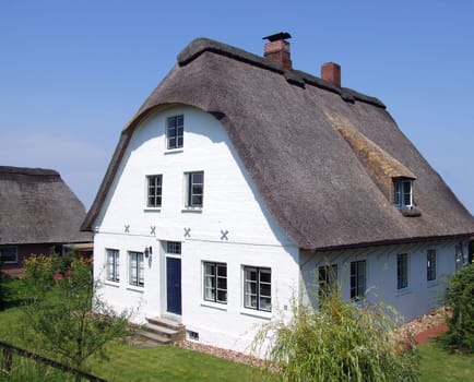 Thatched roof house