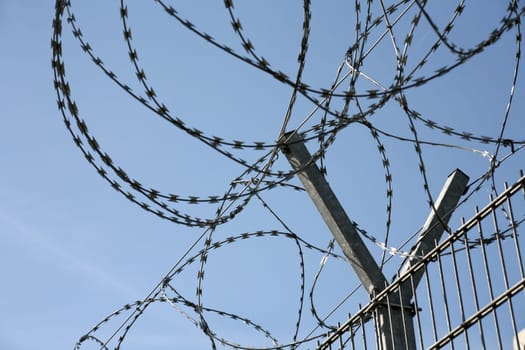 Barbed wire entanglement