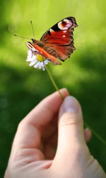(Photomontage) .......................................................... "Nature is everything around us,so let us preserve it, Only if everyone can do this,it can unfold. Give the support that needs it right now,you can do it mo"