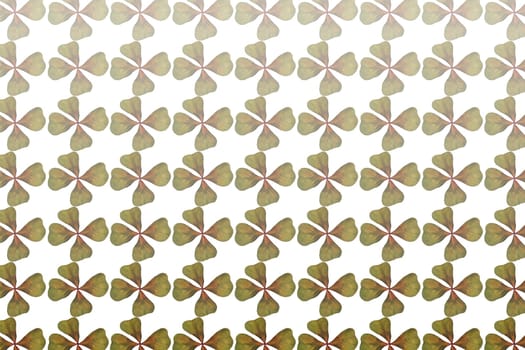 background wallpaper without decorate without blurred without isolated