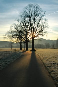 Autumn Morning