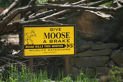 Moose Warning