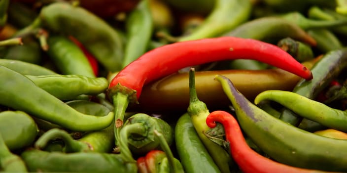 CHILLI