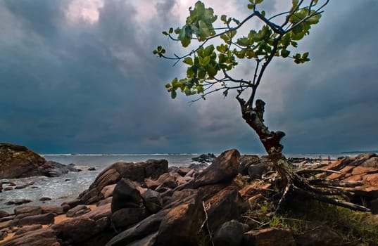 the day the rain came