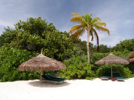 On the beach of Reethi Beach in the Baa Atoll of the Maldives.