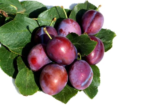 Plums