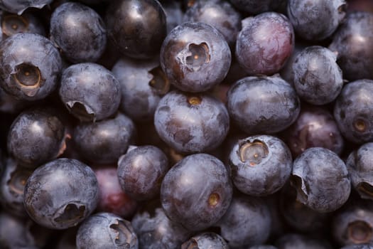 Blueberries Background