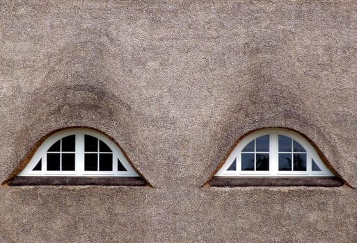 Thatched roof