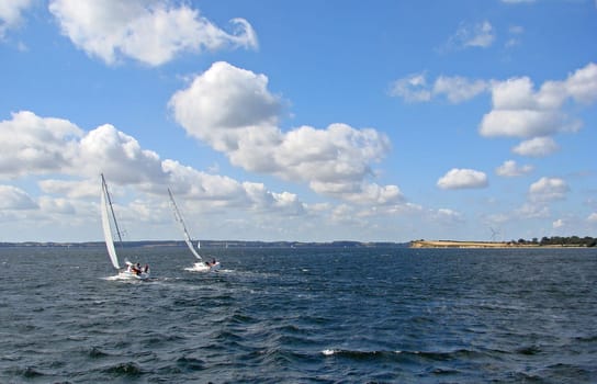 Sailing boats in the Flensburg Fjord