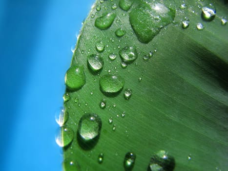 waterdrop