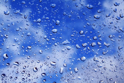 Raindrops on the window