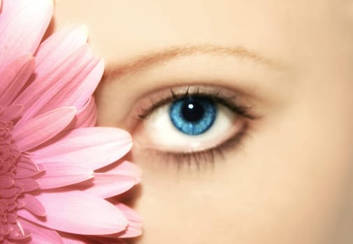 Beauty - Flower - Eye