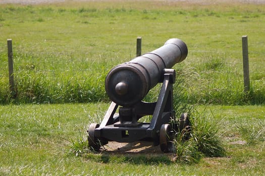 Cannon