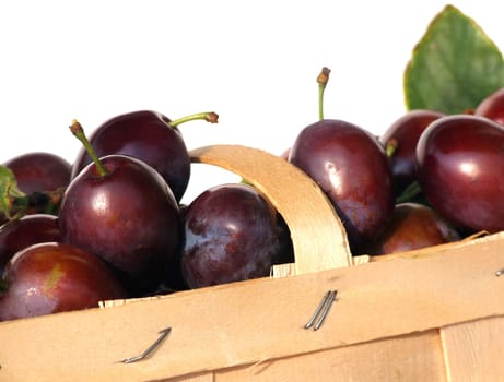 Plum time