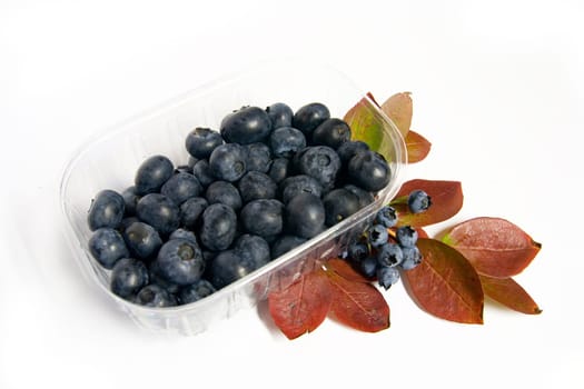 Blueberries in shell