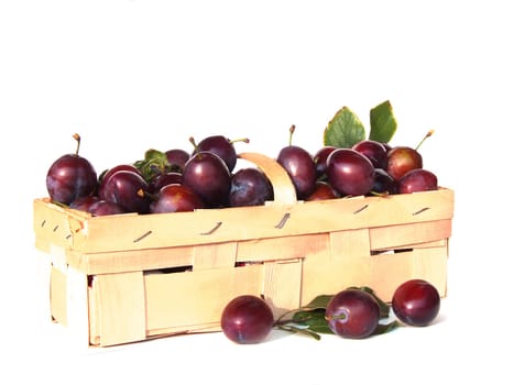 Plum basket