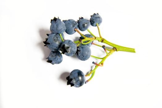 Blueberries