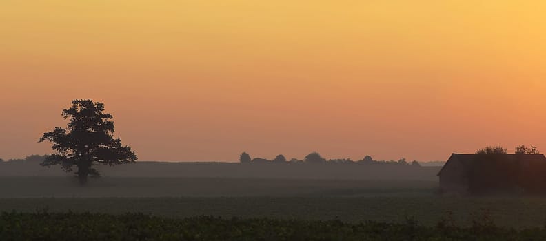 Early morning