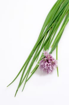 Chives